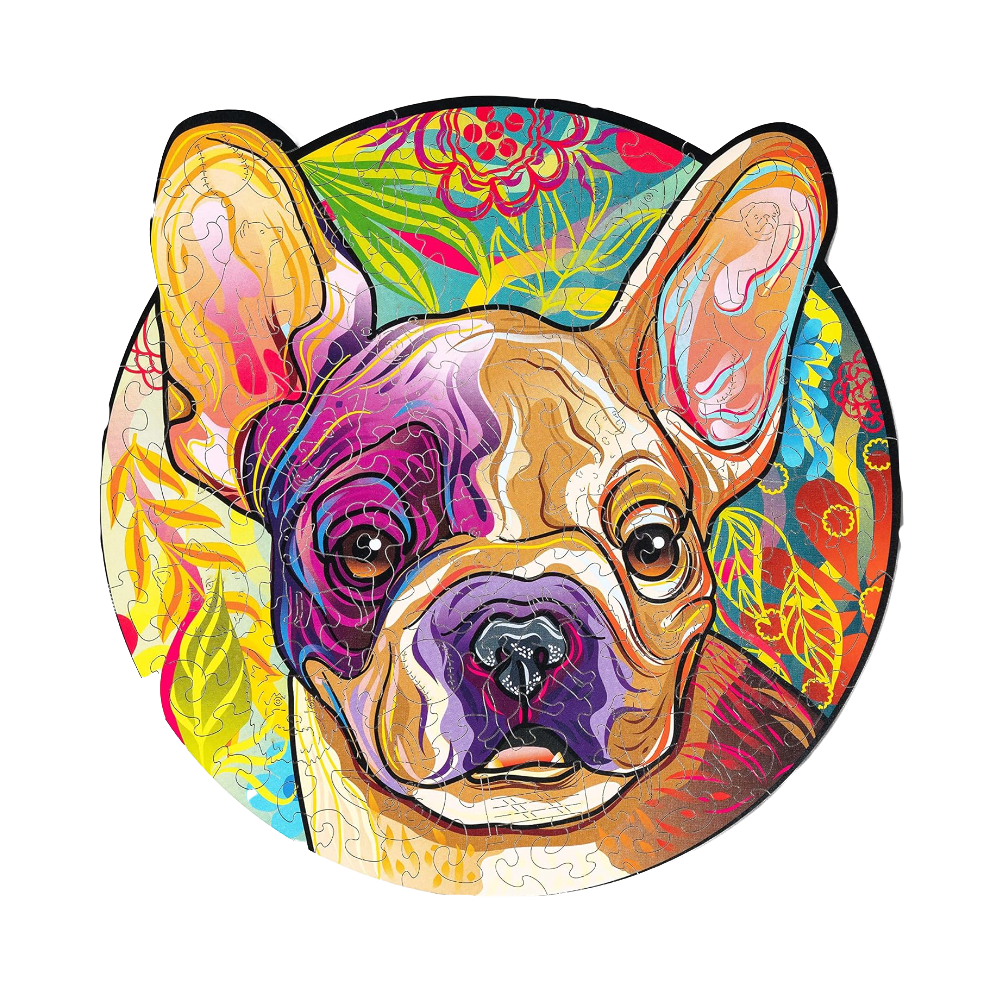 Бульдог Роккі